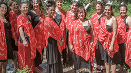 Maori healers