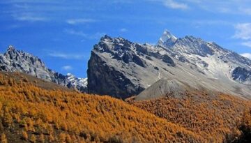 Gazi Tibet SNS (2)