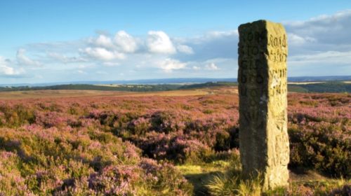 North York Moors