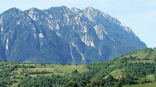 poiana-marului-attractions- (2)
