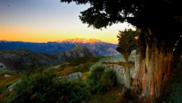 tejos-cantabria (2)
