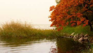 Vilm island (2)