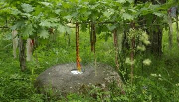 Estonia-sacred forest