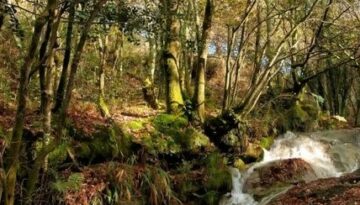 Monte-Froxan-concello-corunes-Lousame (2)