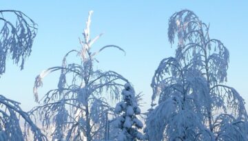 ICCA Finland (3)