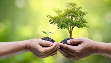 cuales_son_las_ramas_de_la_ecologia_y_que_estudia_cada_una_1397_orig