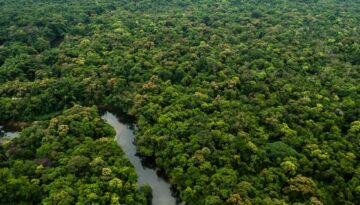 Jungla tropical Amazonia