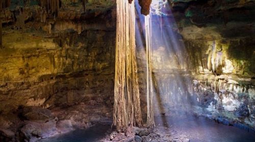 Cenotes-Mexico (2)