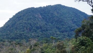 Haling-Halang-up-close-where-the-gibbon-chorus-rang-out (2)