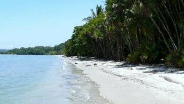 Punta Manabique (2)