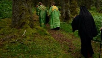 pilgrimage forest (2)
