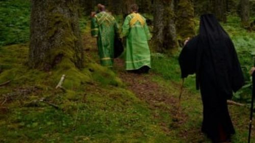 pilgrimage forest (2)