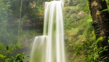 putumayo_colombia (2)