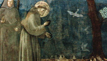 st-francis