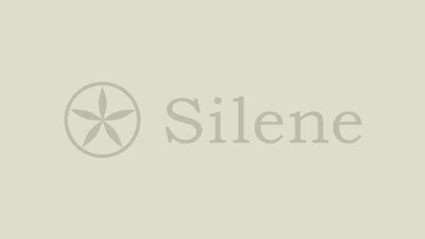 no-image-silene