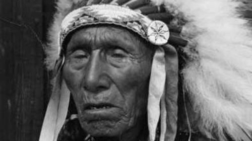 Black elk (2)