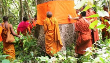 Combidja monstic forest