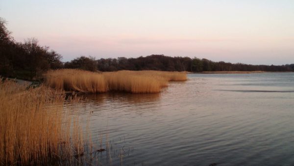 Vilm shore (2)