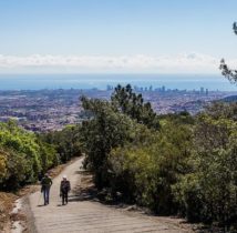 collserola (2)