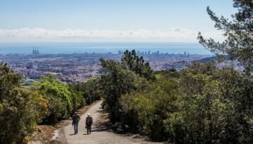 collserola (2)