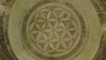 sexifolia-ecosofia (2)