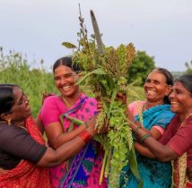 Indian indigenous woman (2)