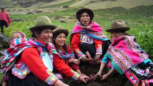 campesinas bolivia