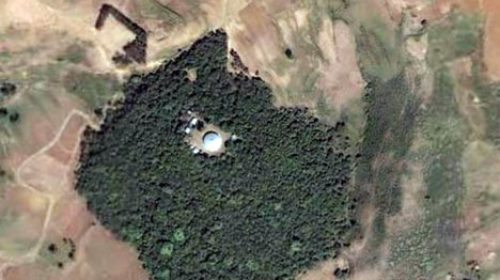 ethiopia-church-forest