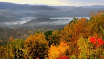 Lost Cove Wilderness