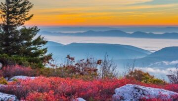 Virginia’s Monongahela Forest (2)