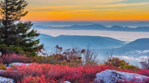 Virginia’s Monongahela Forest (2)