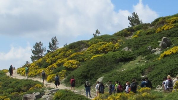 Navacerrada_2019 (2)