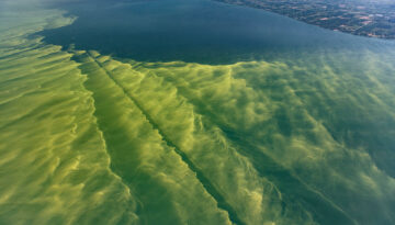 lake_erie_algae_bloom_2017