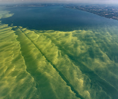 lake_erie_algae_bloom_2017