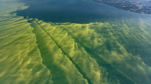 lake_erie_algae_bloom_2017