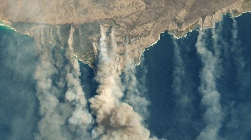 Focs-Australia