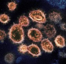 Pandemia