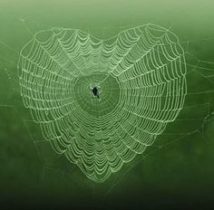 Spider-webs-heart