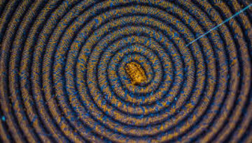 espiral-arte-indígena