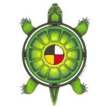 tortuga