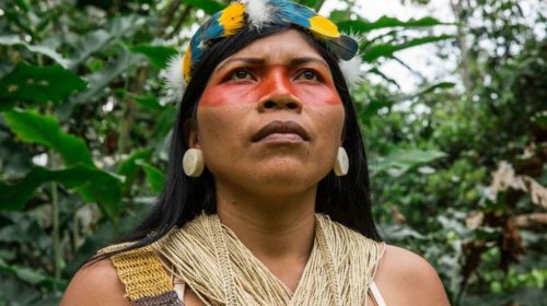 amazon_frontlines-ecuador-nemonte_nenquimo_portrait-01_opt