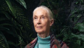 jane-goodall