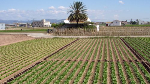 horta València