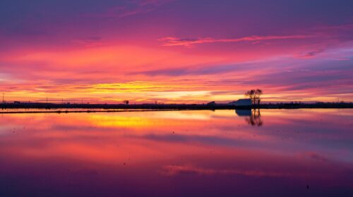 Delta de l'Ebre