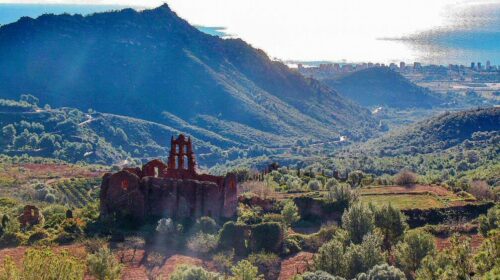 benicassim-Desert_Palmes