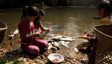 pesca artesanal kitchwa