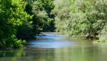 r155-Tram-del-riu-Ter