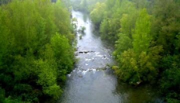 el Fluvià a Esponellà