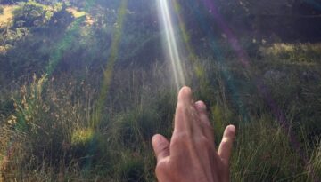 imatge-Farrera-2018 (2)