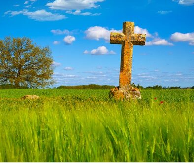 Eglise-Ecologie